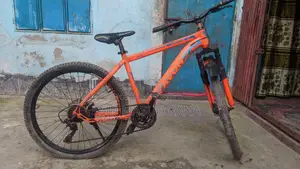 A Great Bicycle