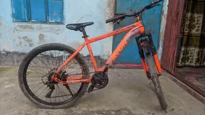 A Great Bicycle