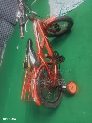 Phoenix Bicycle
