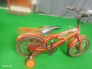 Phoenix Bicycle