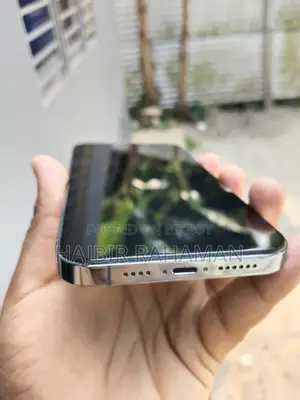 Apple iPhone 13 Pro Max (Used)