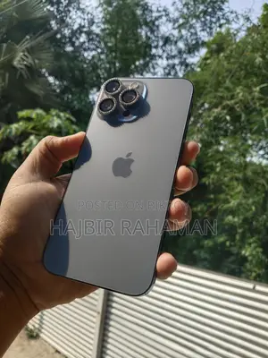 Apple iPhone 13 Pro Max (Used)