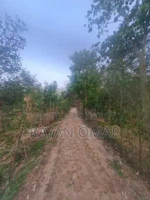 সিলেটে ৬৪ কাঠা জমি বিক্রয়