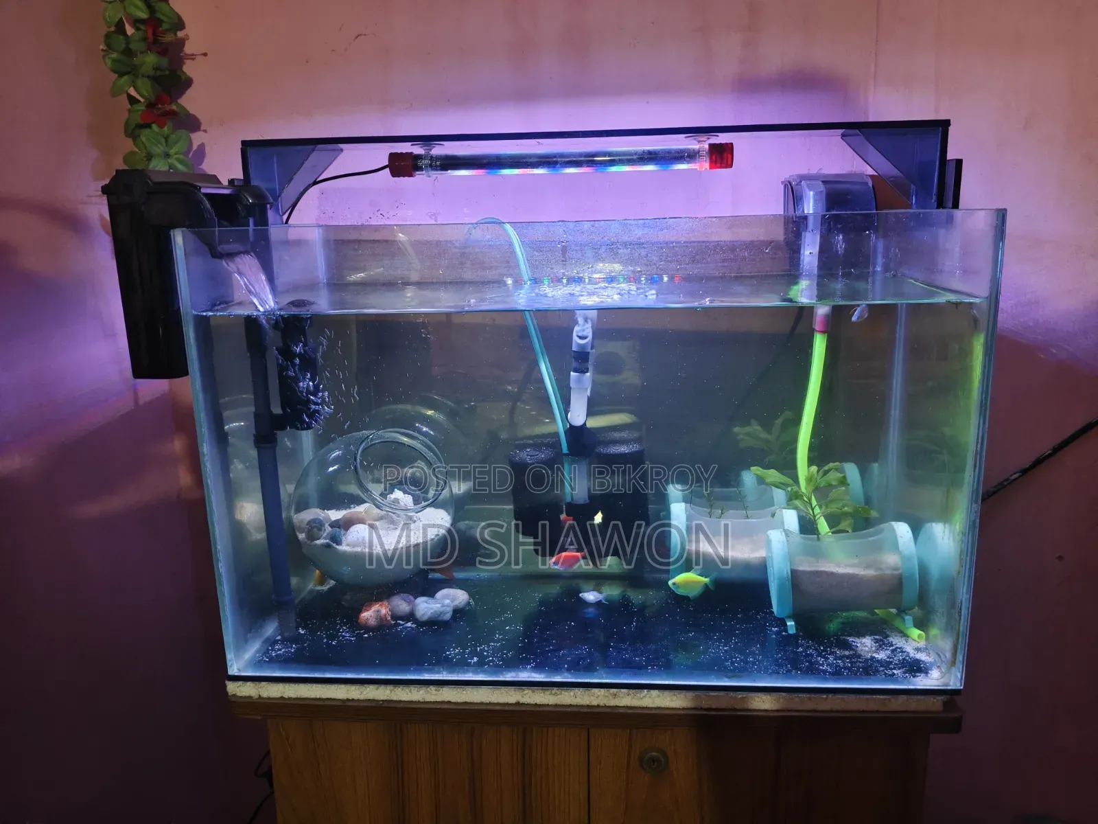 Aquarium Full Setup!