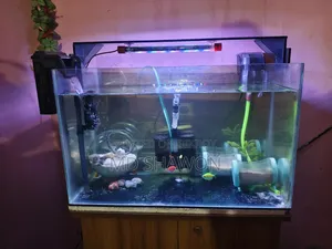 Aquarium Full Setup!