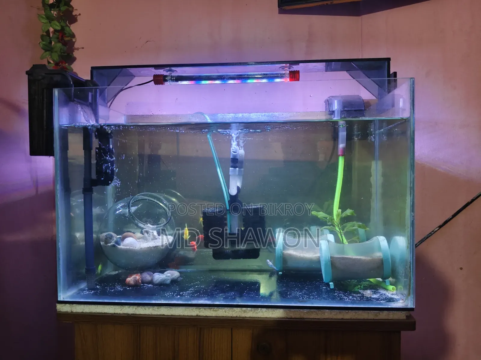 Aquarium Full Setup!