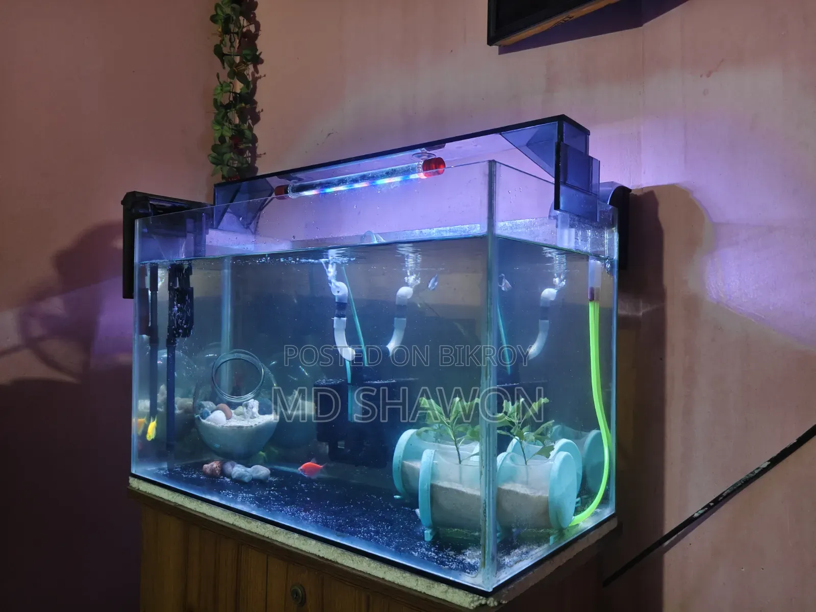 Aquarium Full Setup!