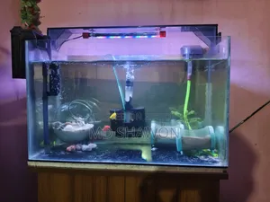 Aquarium Full Setup!