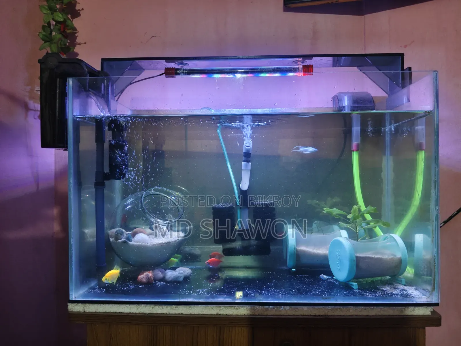 Aquarium Full Setup!