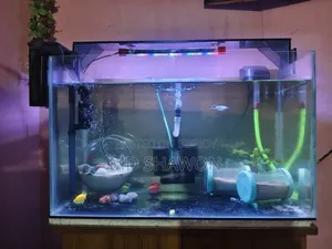 Aquarium Full Setup!