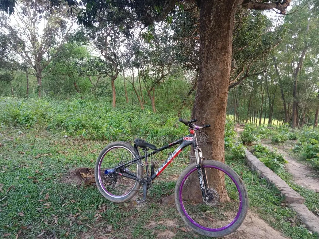 Stunt Cycle for Sale