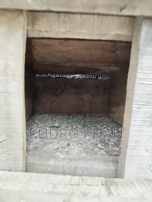 নতুনের মতো ২০খোপ কবুতরের