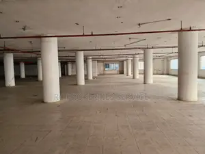 253000sft Factory Building Sale in Gazipur (09)