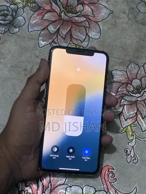Apple iPhone XS Max (Used)