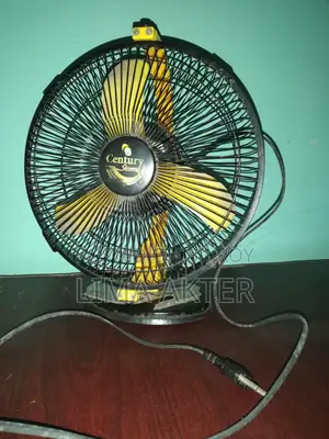 Fan for Sale