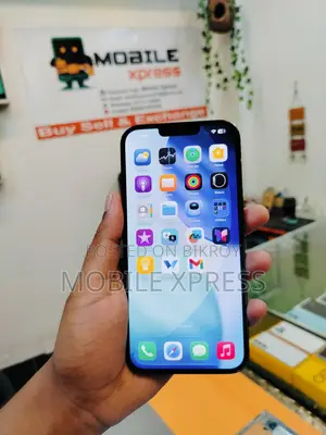 Apple iPhone 13 Pro Max (Used)