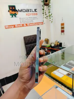 Apple iPhone 13 Pro Max (Used)