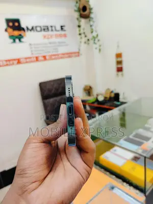 Apple iPhone 13 Pro Max (Used)