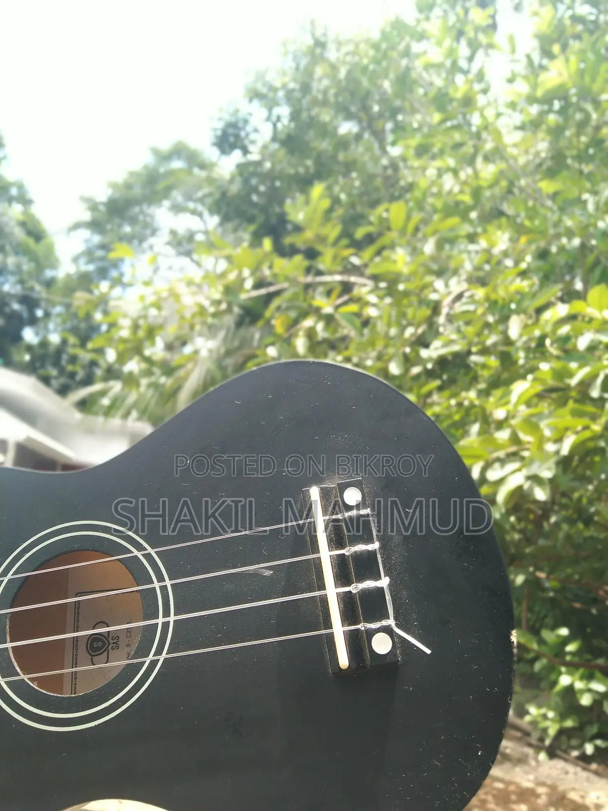 Ukulele