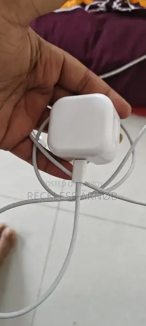Apple Charger and Cables