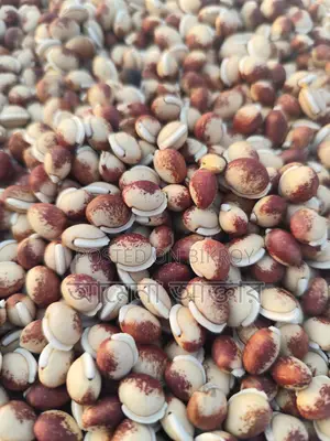 সিমের বিচি