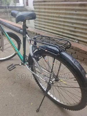 Ranger Max Cycle