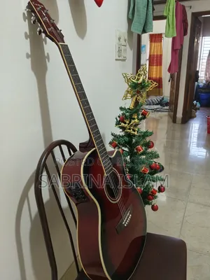 Custom Brand Premium Acoustic-Electric Guitar for Sale