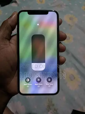 Apple iPhone X (256GB) (Used)
