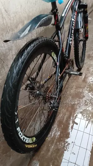 দুরন্ত বাইসাইকেল
