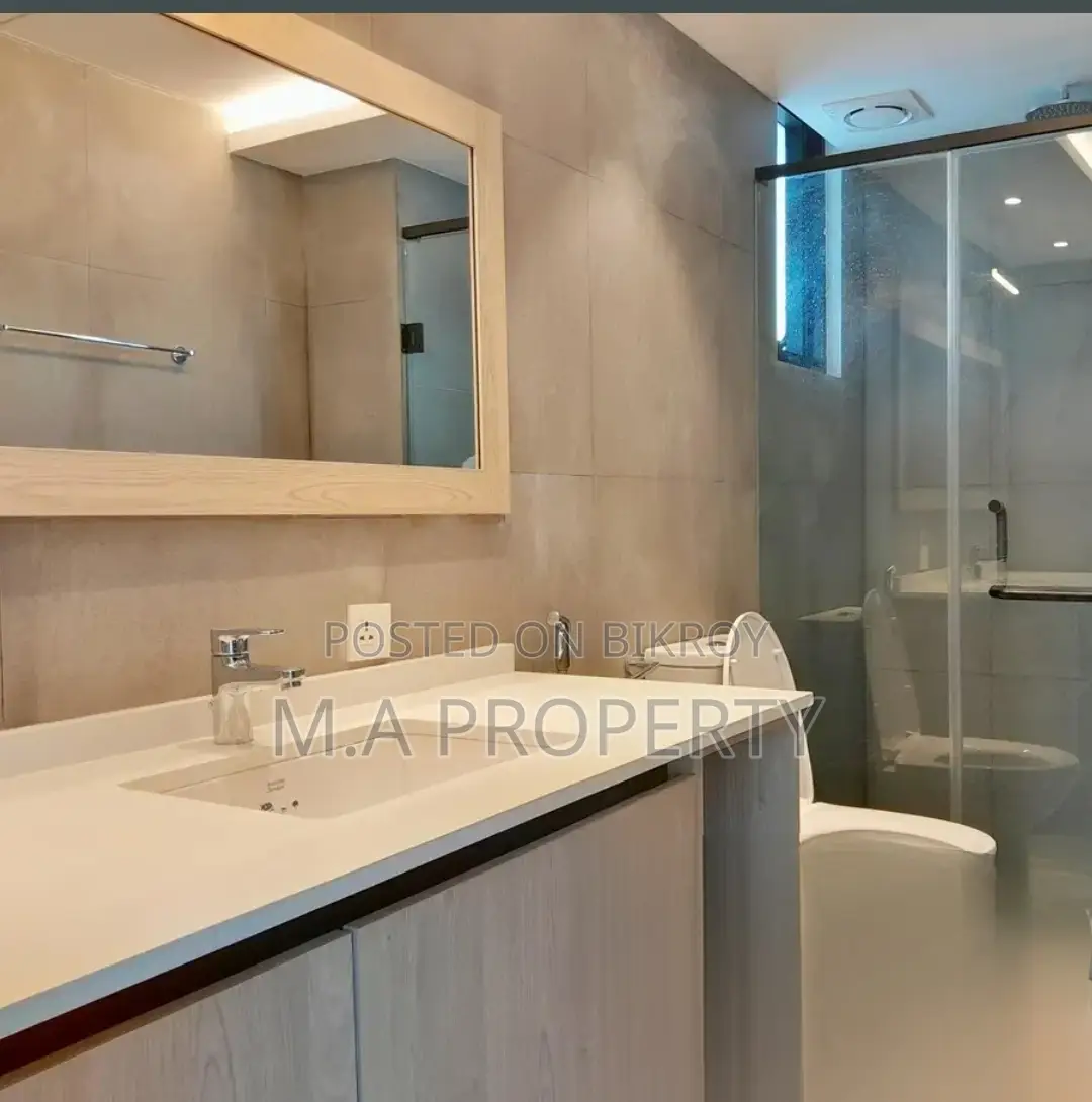 BRAND NEW 5 BED DUPLEX FLAT RENT IN GULSHAN 2 POOL ZIM