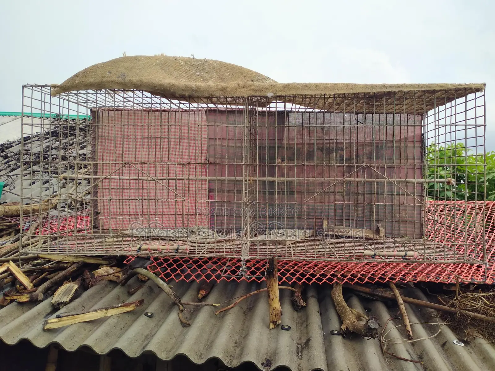 অরজিনাল জিয়াই তারের খাঁচা বিক্রি করা হবে