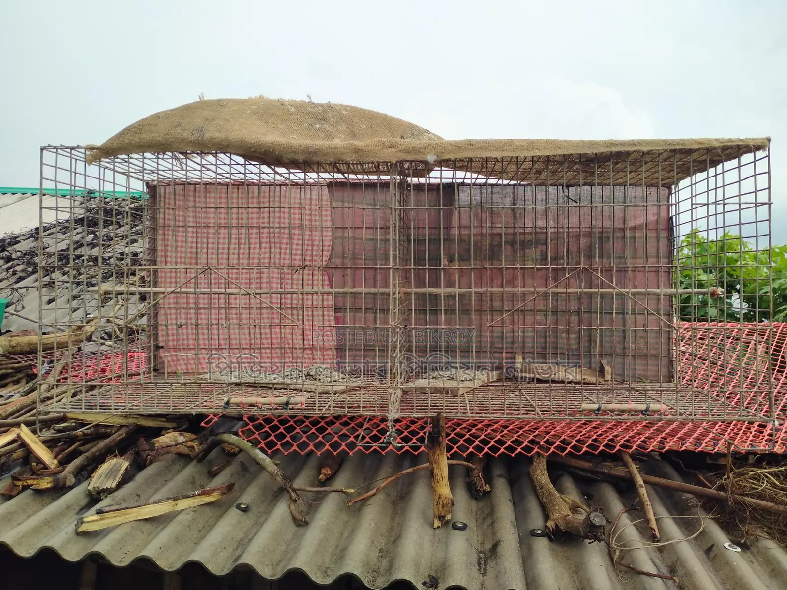 অরজিনাল জিয়াই তারের খাঁচা বিক্রি করা হবে