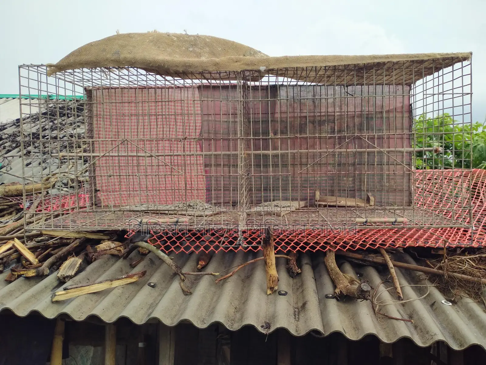অরজিনাল জিয়াই তারের খাঁচা বিক্রি করা হবে
