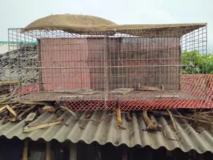 অরজিনাল জিয়াই তারের খাঁচা বিক্রি করা হবে