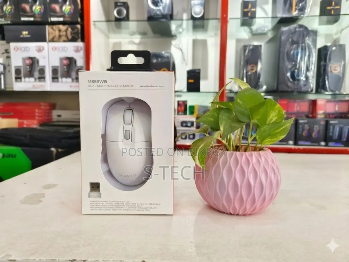 Havit MS59WB Dual Mode Wireless Mouse