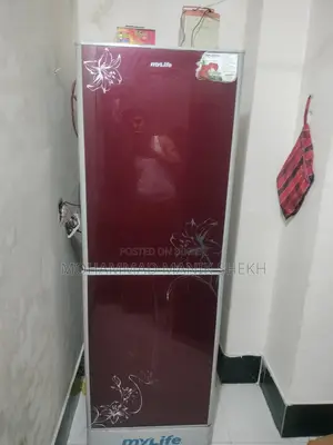 মিনিস্টার কোম্পানির ফ্রিজ ২৫২ লিটার