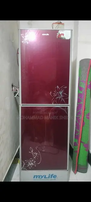 মিনিস্টার কোম্পানির ফ্রিজ ২৫২ লিটার