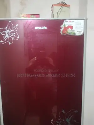 মিনিস্টার কোম্পানির ফ্রিজ ২৫২ লিটার