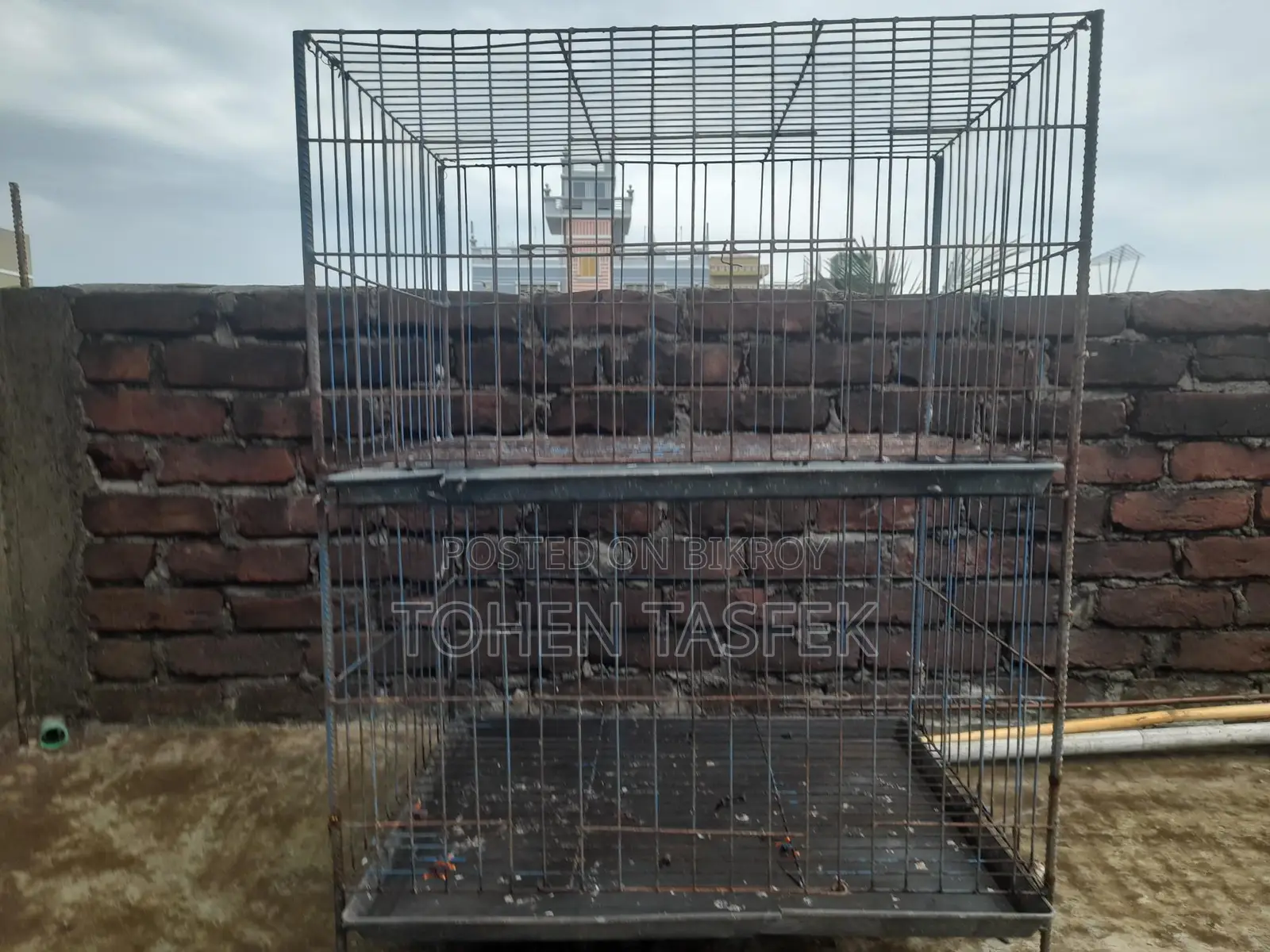 Used Cage