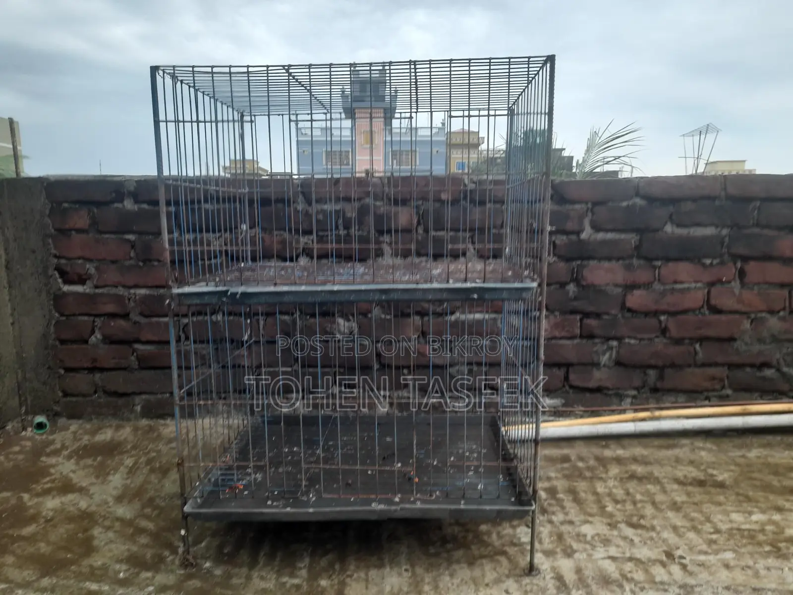 Used Cage