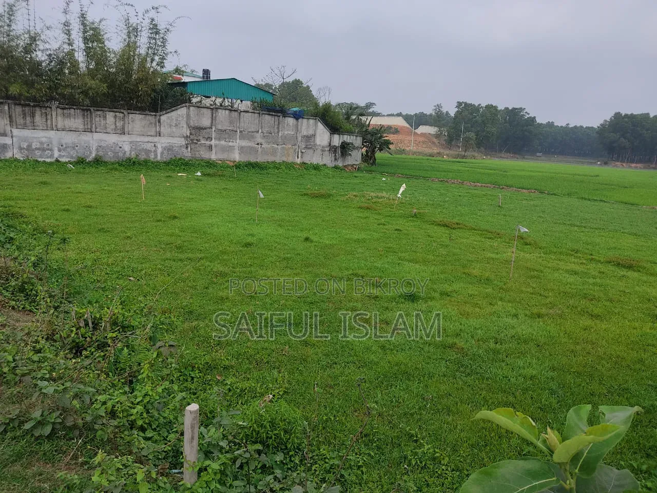 কম দামে নিচু জমি বিক্রয়