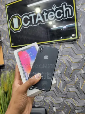 Apple iPhone X 256gb (Used)