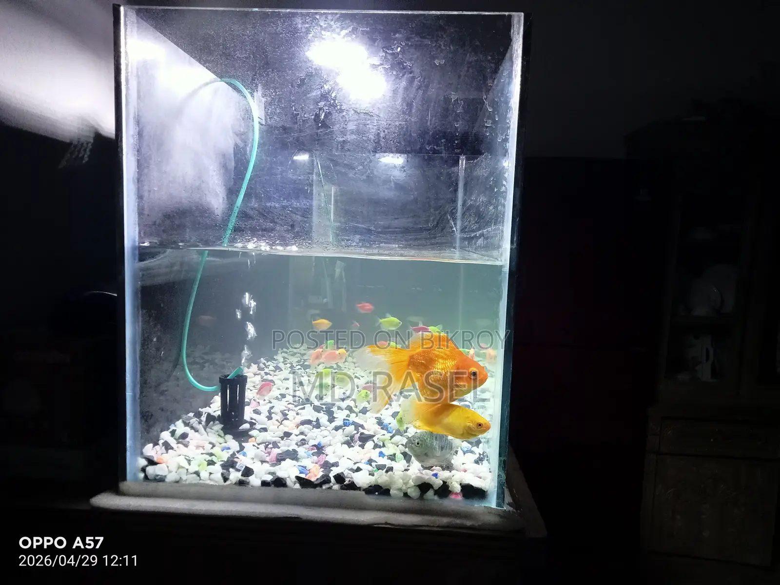 A Large Aquarium with Fish