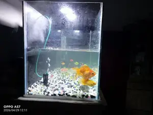 A Large Aquarium with Fish