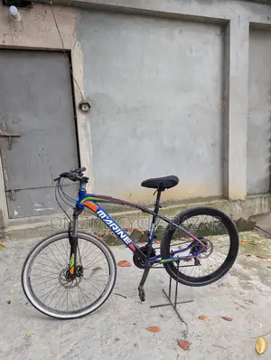 Aluminum body, gear, brake, suspension all okay
