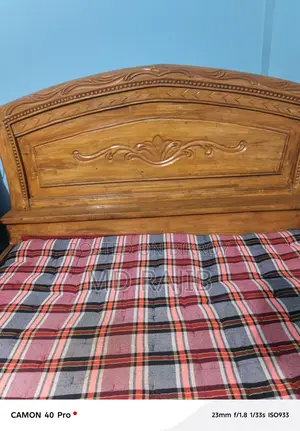 পাহাড়ি সেগুন Beds