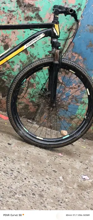 Non-Gear Bicycle