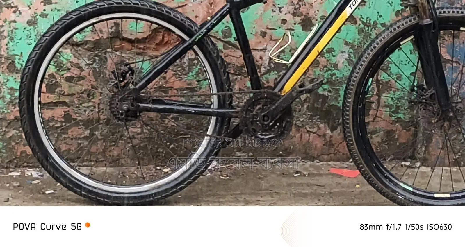 Non-Gear Bicycle