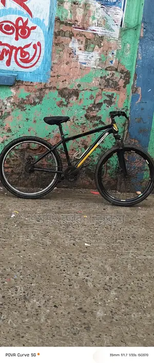 Non-Gear Bicycle