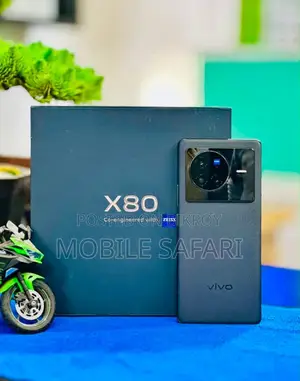Vivo X80 12/256 Official (Used)